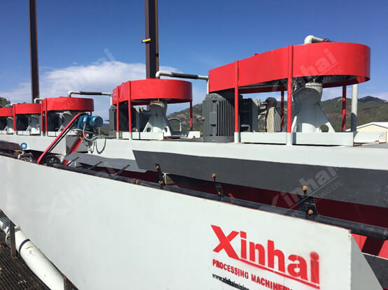 Xinhai gold flotation process